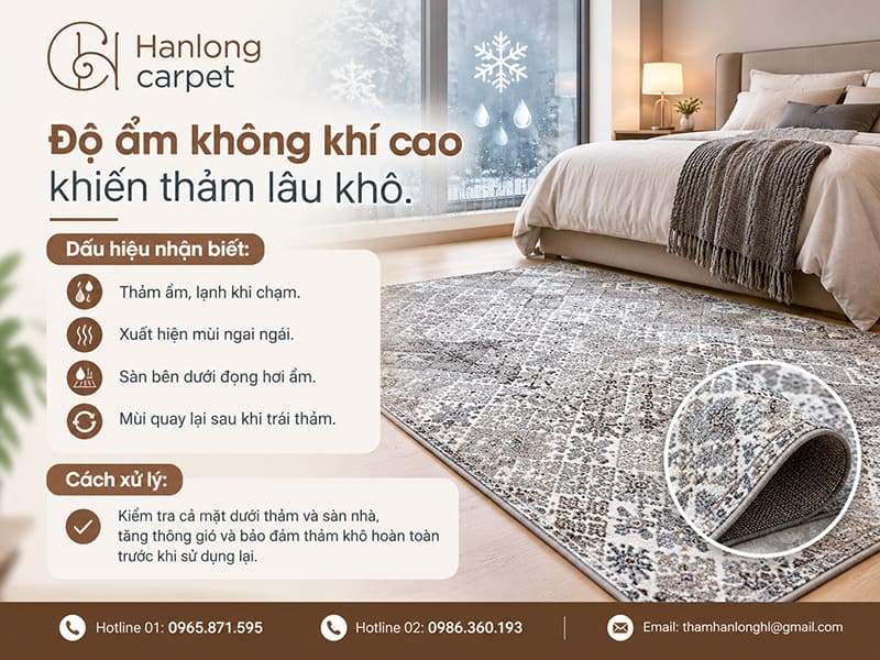 Độ ẩm không khí cao khiến thảm lâu khô