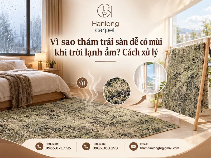 Vì sao thảm trải sàn dễ có mùi khi trời lạnh ẩm? Cách xử lý